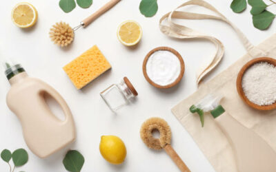 Atelier DIY maison écologique