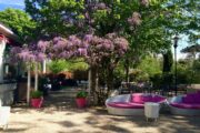chalet des iles daumesnil