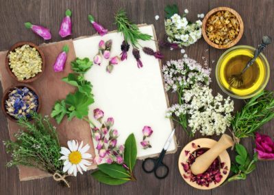 animation DIY atelier bar à fleurs et plantes comestibles