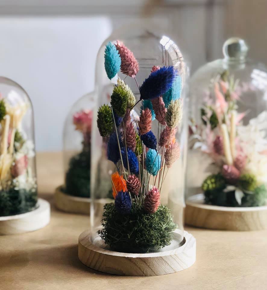 cloches en verre de fleurs séchées colorees bleues et orange | Portfolio