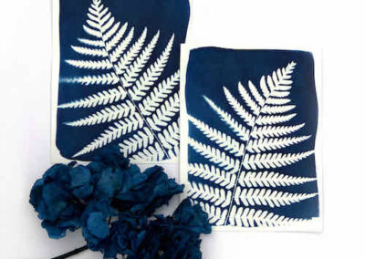 Atelier cyanotype