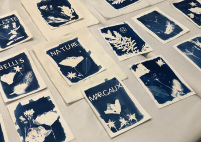 IMG 5833 | Atelier DIY Cyanotype