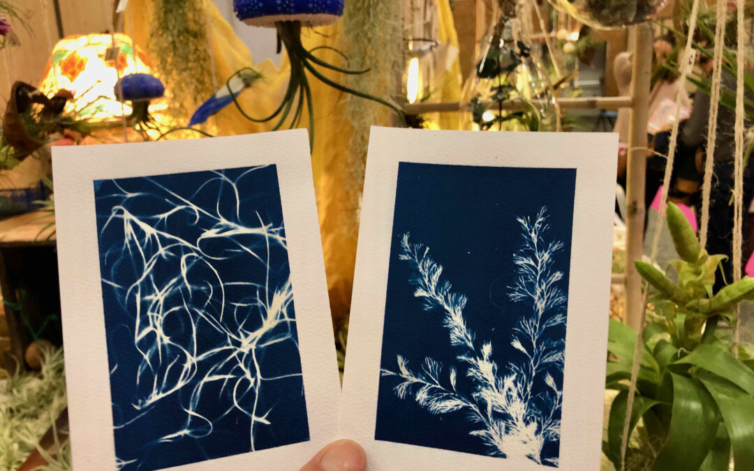 Atelier DIY Cyanotype