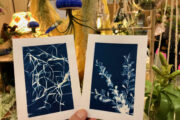 Atelier DIY Cyanotype