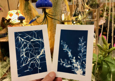 Atelier DIY Cyanotype