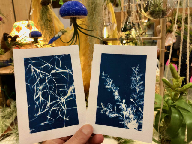 Atelier DIY Cyanotype