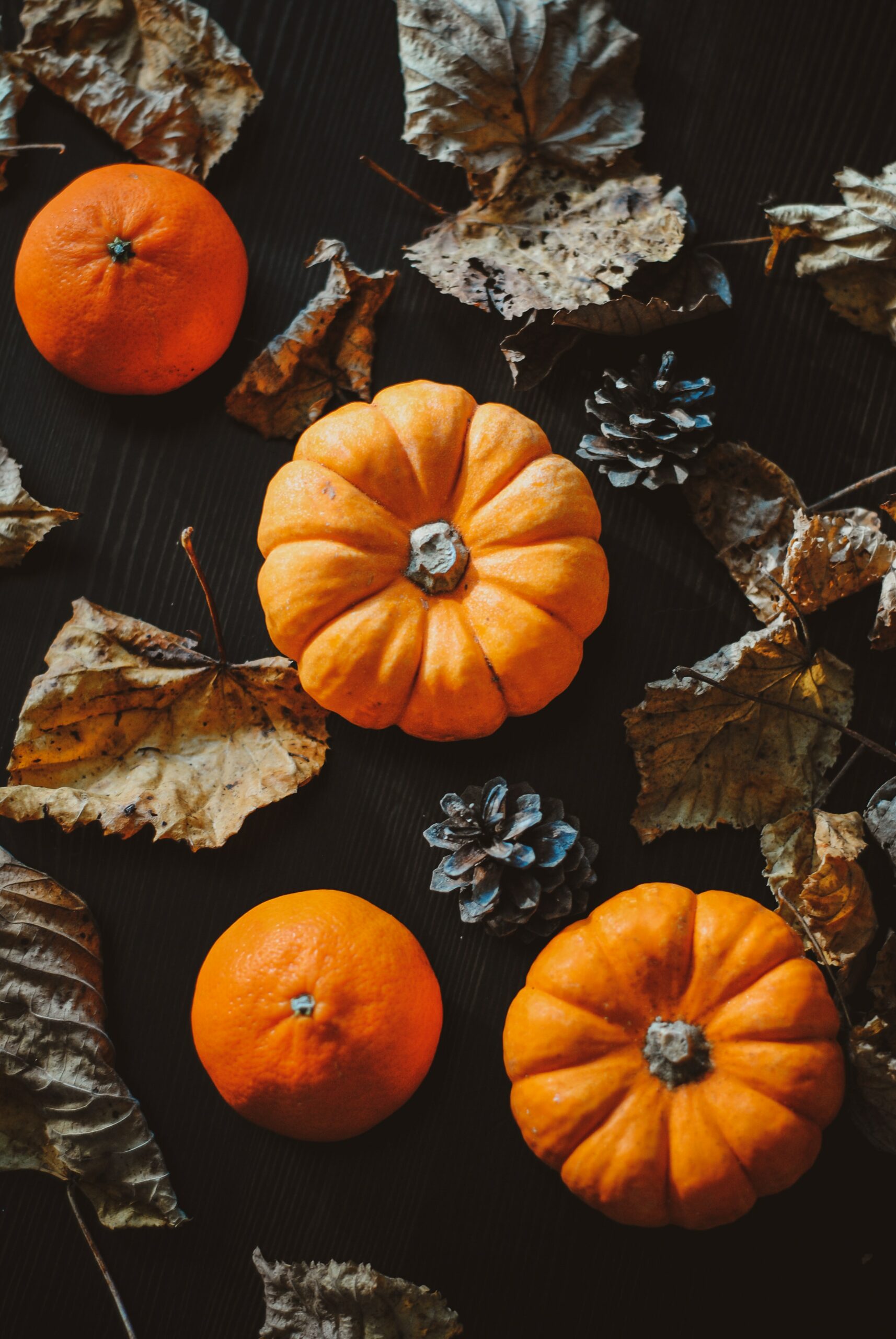 Blog 681 5 idées d'activités pour Halloween