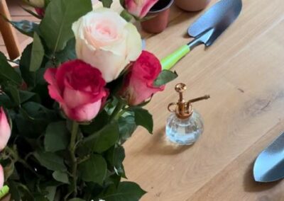 Atelier DIY bouturage