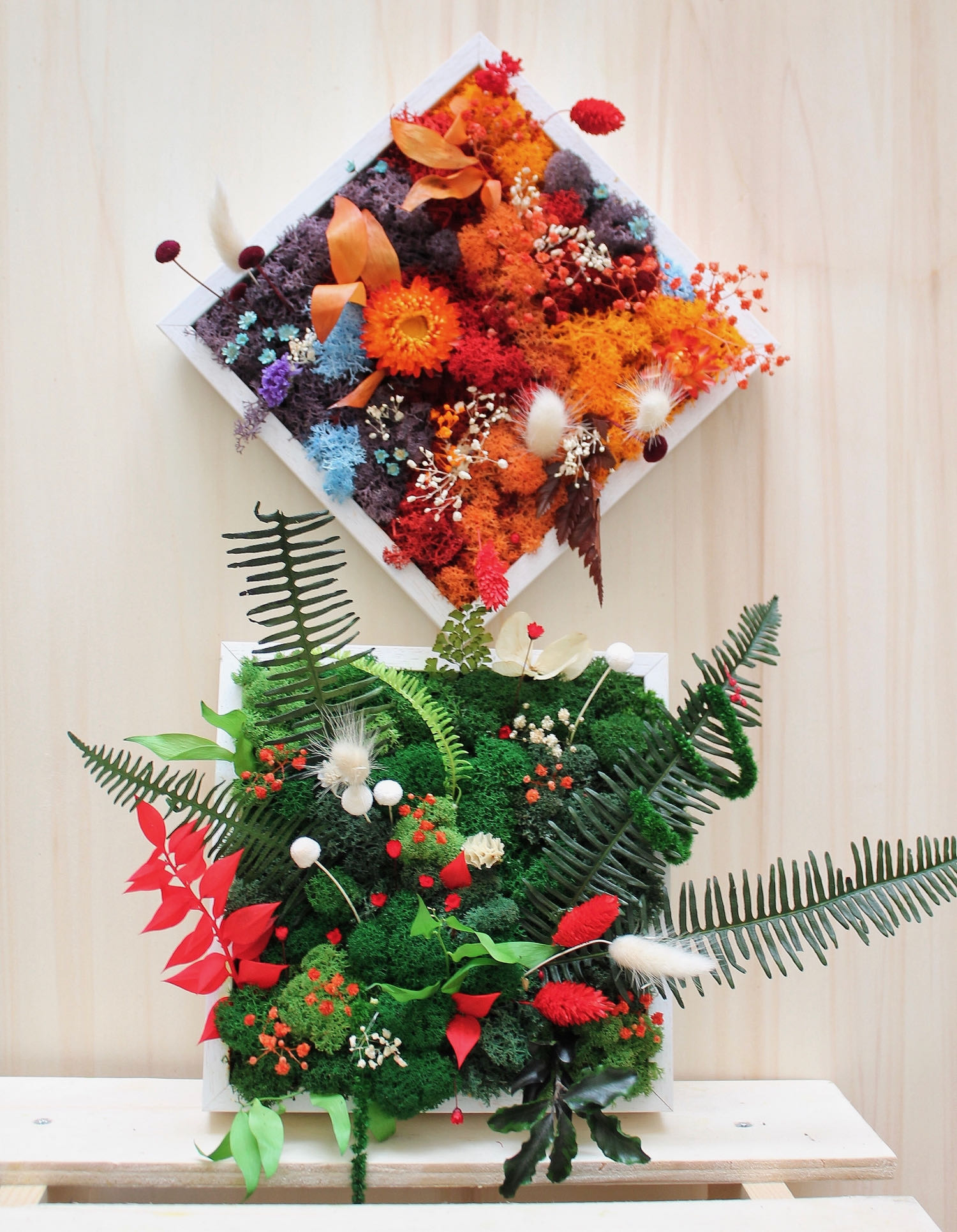 atelier cadre végétal fleurs séchées