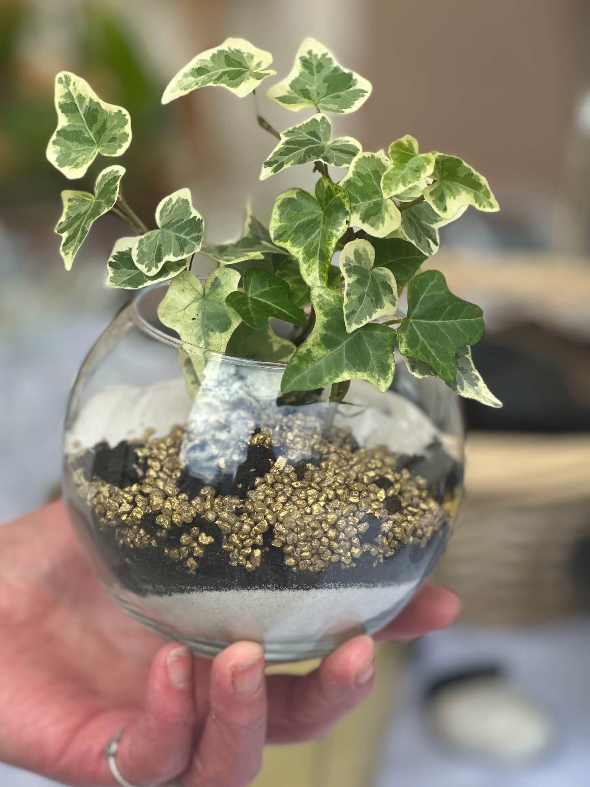 Atelier DIY terrarium végétal